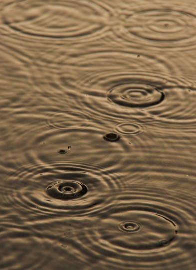 Raindrops, Gareth Edwards
