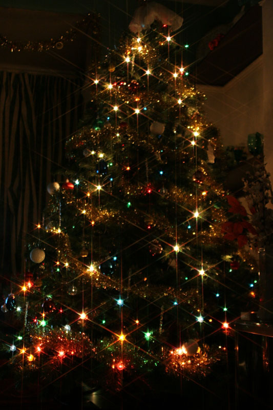 Christmas Tree 3 - Click to go back