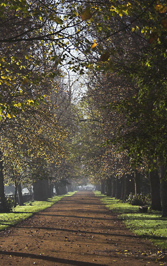 Christchurch vista - Click to go back