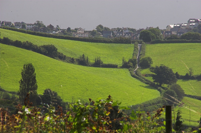 Winding country lane - Click to go back