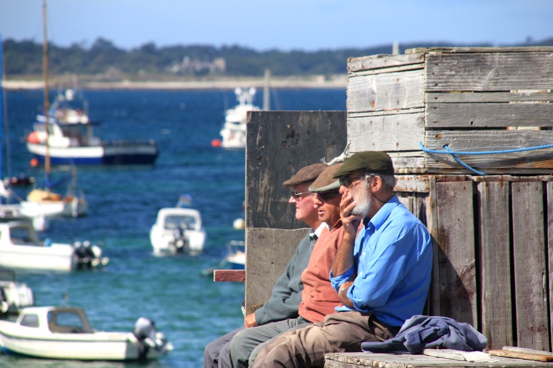 St Mary's Harbour Committee - Click to go back