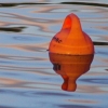 02/11/06 - Bouy