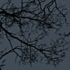 19/07/07 - Moon