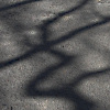 27/04/09 - Shadows